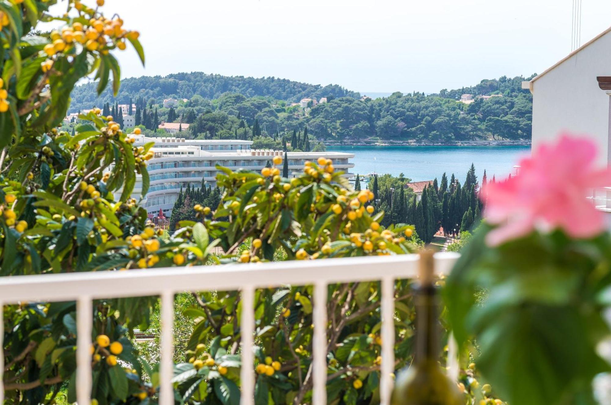 Villa Bind Cavtat Quarto foto